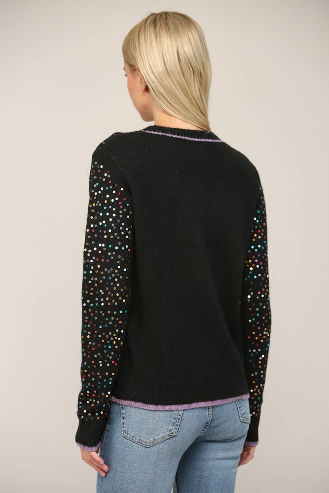 Sequin Embellished Crew Neck Sweater