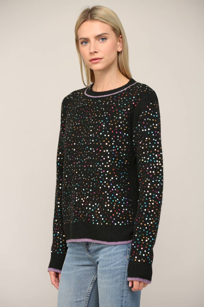 Sequin Embellished Crew Neck Sweater