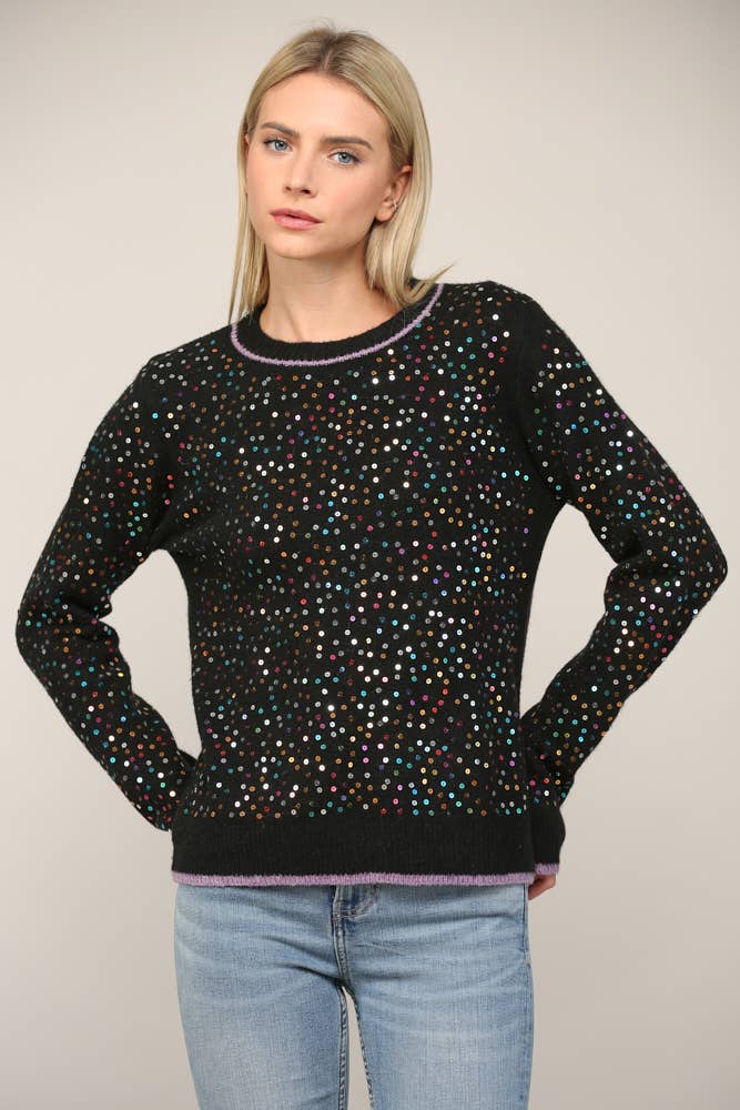 Sequin Embellished Crew Neck Sweater
