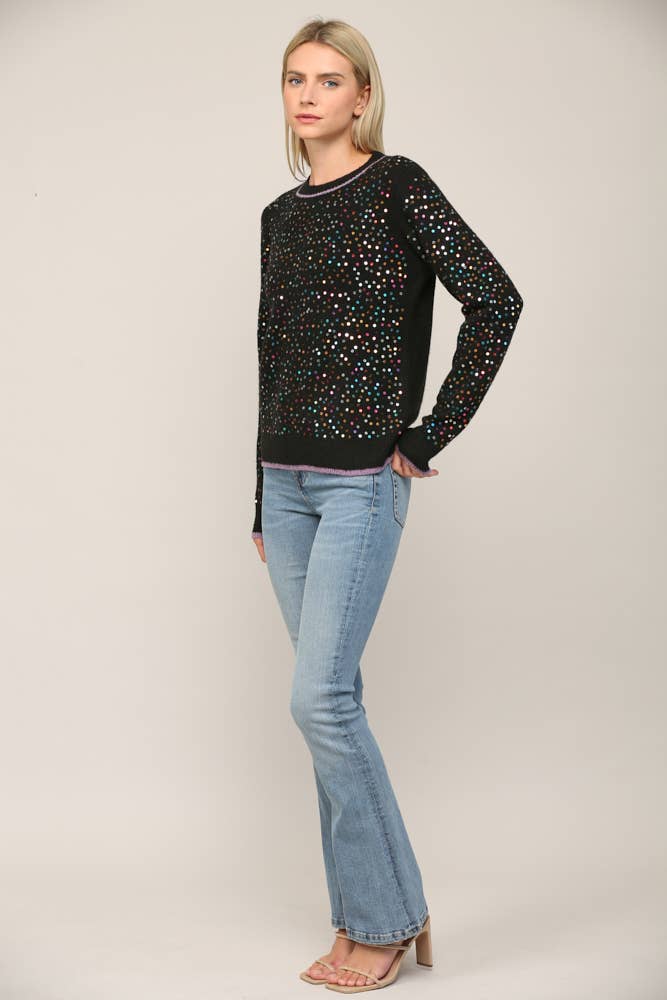 Sequin Embellished Crew Neck Sweater