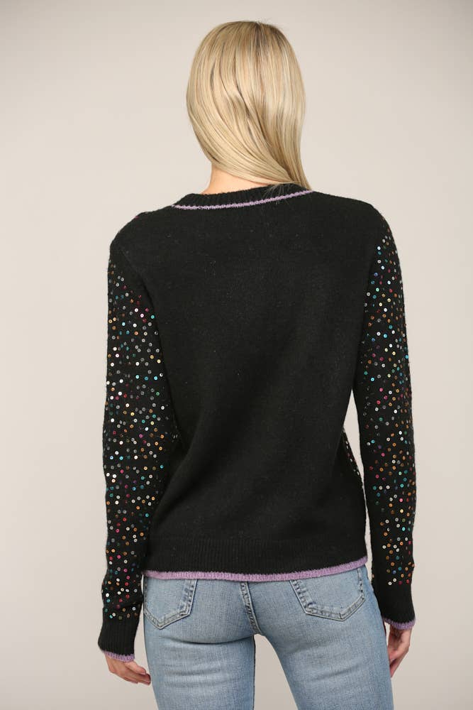 Sequin Embellished Crew Neck Sweater