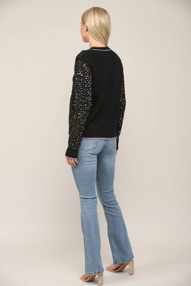 Sequin Embellished Crew Neck Sweater